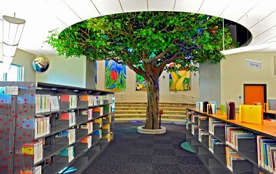 بهترین ایده کتابخانه سبز: کتابخانه سبز گامی به‌سوی اندیشه سبز