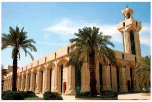 دانشگاه‌های عربستانی پس از دست دادن محققان پراستناد...