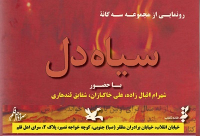 كتاب «سياه دل»  در سرای اهل قلم رونمايی می شود