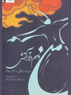 نقد کتاب من بادم و تو آتش: درباره زندگی و آثار مولانا