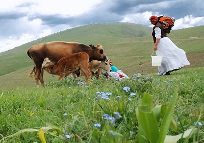 منابع طبیعی و منابع طبیعی در ایران