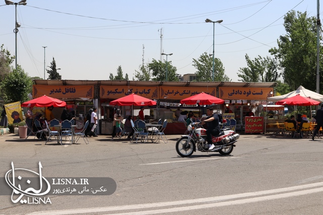 IMG_8771_Copy.JPG