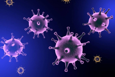 آنچه می بایست در مورد ویروس کرونا بدانید