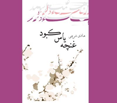 کتاب «غنچه یاس کبود» منتشر شد