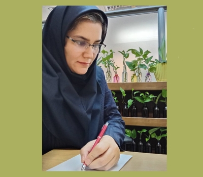 EvoPat: روایت تازه‌ای از پیوند هوش مصنوعی و علم اطلاعات
