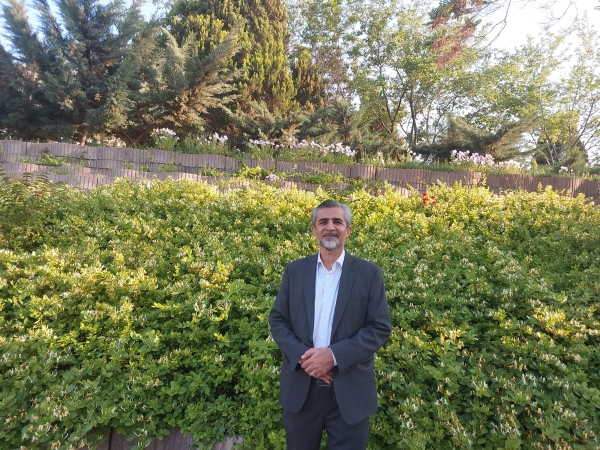 فرو رفتن در نقش در بین کتابداران و اطلاع رسانان