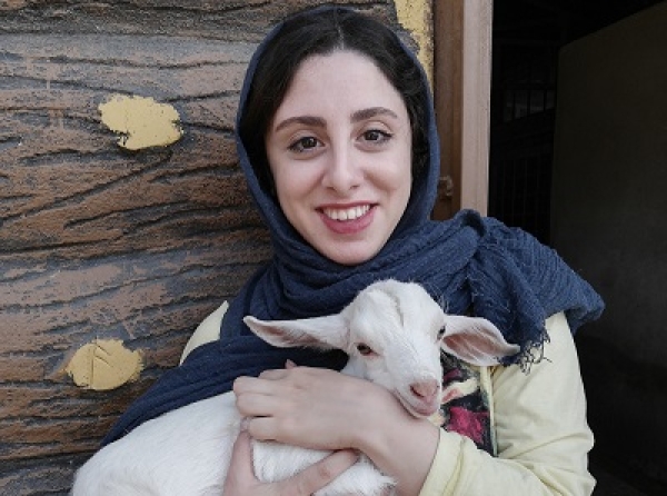 تقدیر از طرح پژوهشی دکتری نیلوفر صلح‌جو در ASIS &amp; T