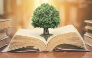 چند ساعت با کتاب در برنامه‌های «مداد خیال» و «گلستان کتابِ» کتابخانه دکتر شهیدی
